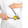 Storcător pentru lămâi, lime | FORGAST FG11442