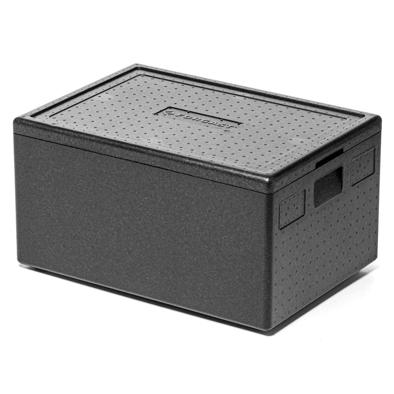 Euro container izolat 600x400x300 | FORGAST FG05414