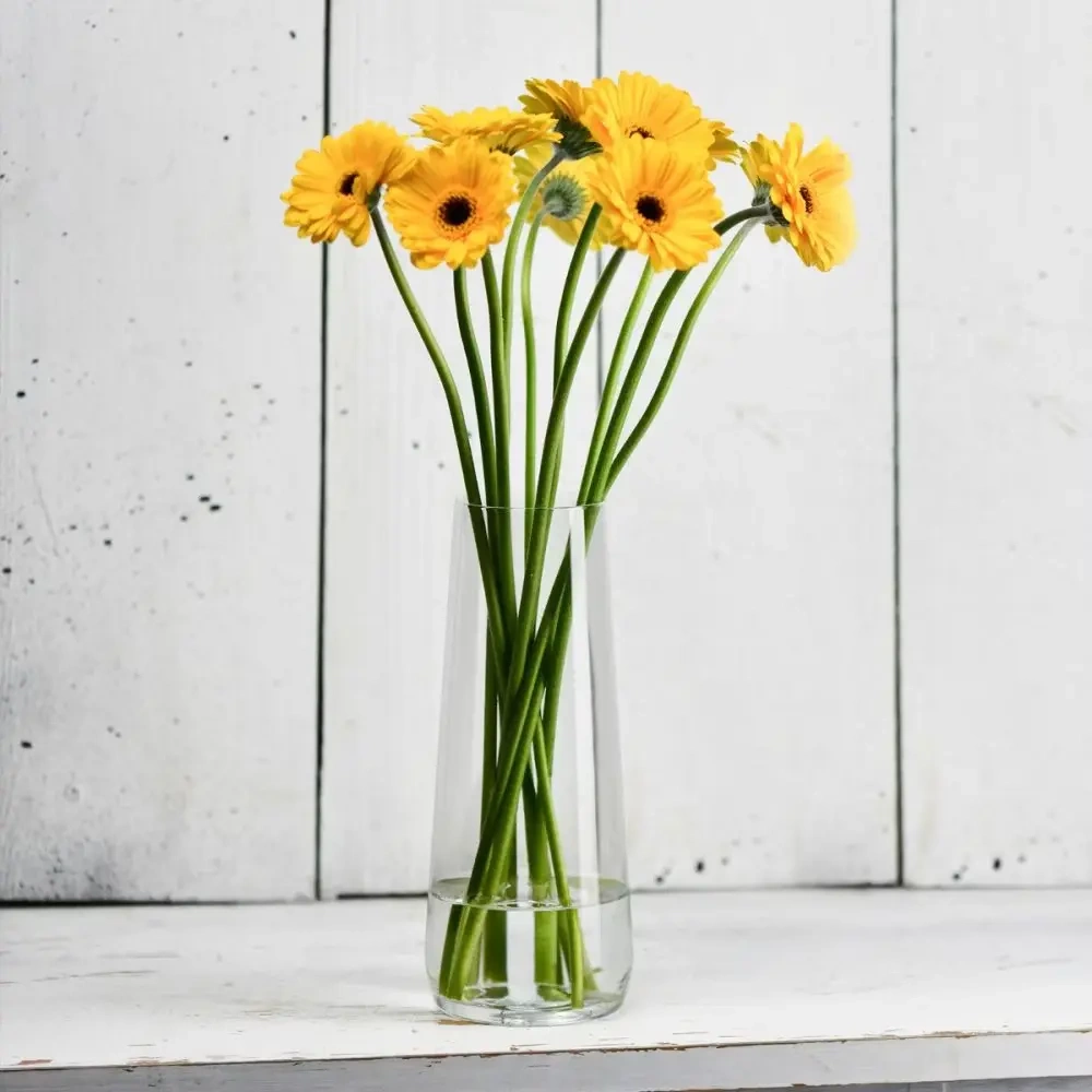 Carafă pentru apă, vază Pure, 24 cm, 1,2 l | KROSNO GLASS F73C735024001000