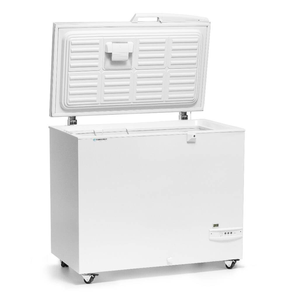Piept congelator, capacitate. 236 l | FORGAST FG08200