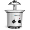 Fântână de ciocolată | FORGAST FG09005