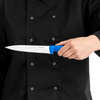 Cuțit de bucătărie HACCP albastru, lungime 18 cm | FORGAST FG01844