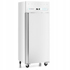 Șifonier frigorific cu 1 ușă GN 2/1 685 l, vopsit, alb | FORGAST FG07265