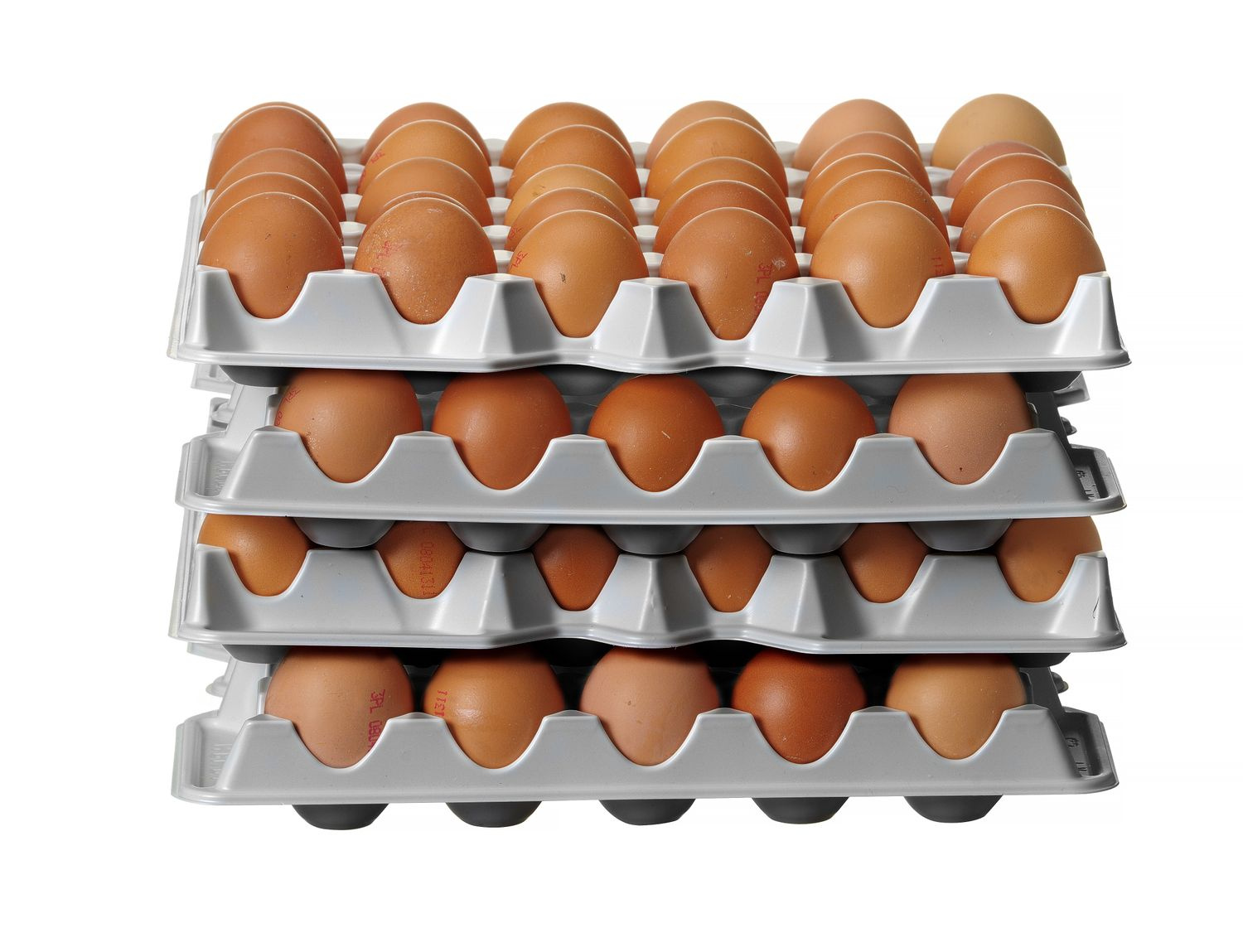 Set de 4 tăvițe pentru ouă | HENDI 870792