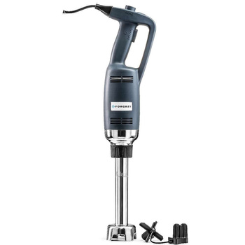 Lungimea mixerului manual. braț 25 cm, 0.35 kW, 16000 rpm | FORGAST FG10250