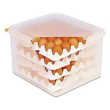 Recipient pentru ouă GN 2/3, 35.5x32.5x20 cm | CONTACTO 8033/023